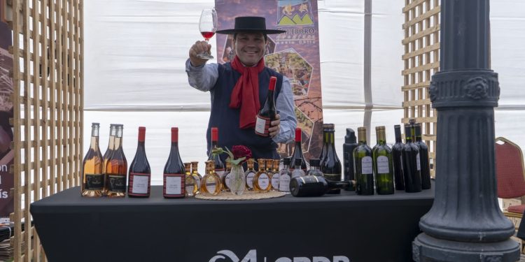 Autoridades invitan a Expo Brindemos por el Maule en Talca