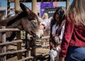 Con éxito se vivió la primera jornada de Chilenidad en Familia en el Maule