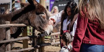 Con éxito se vivió la primera jornada de Chilenidad en Familia en el Maule