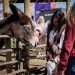 Con éxito se vivió la primera jornada de Chilenidad en Familia en el Maule