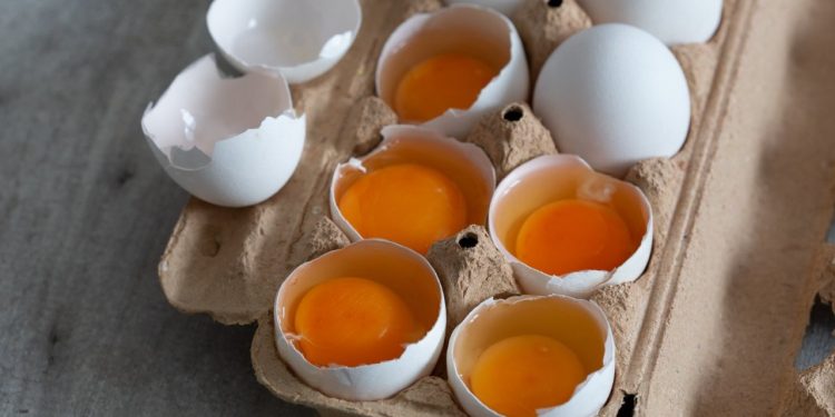 Chile y déficit de vitamina D; el huevo ofrece nutrición clave y económica