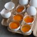 Chile y déficit de vitamina D; el huevo ofrece nutrición clave y económica