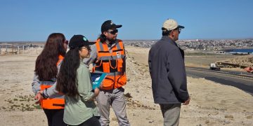 Estudiante UCM participó en investigación que descubrió fósiles de ballenas en el desierto de Atacama