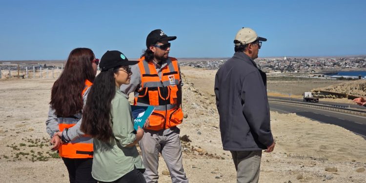 Estudiante UCM participó en investigación que descubrió fósiles de ballenas en el desierto de Atacama