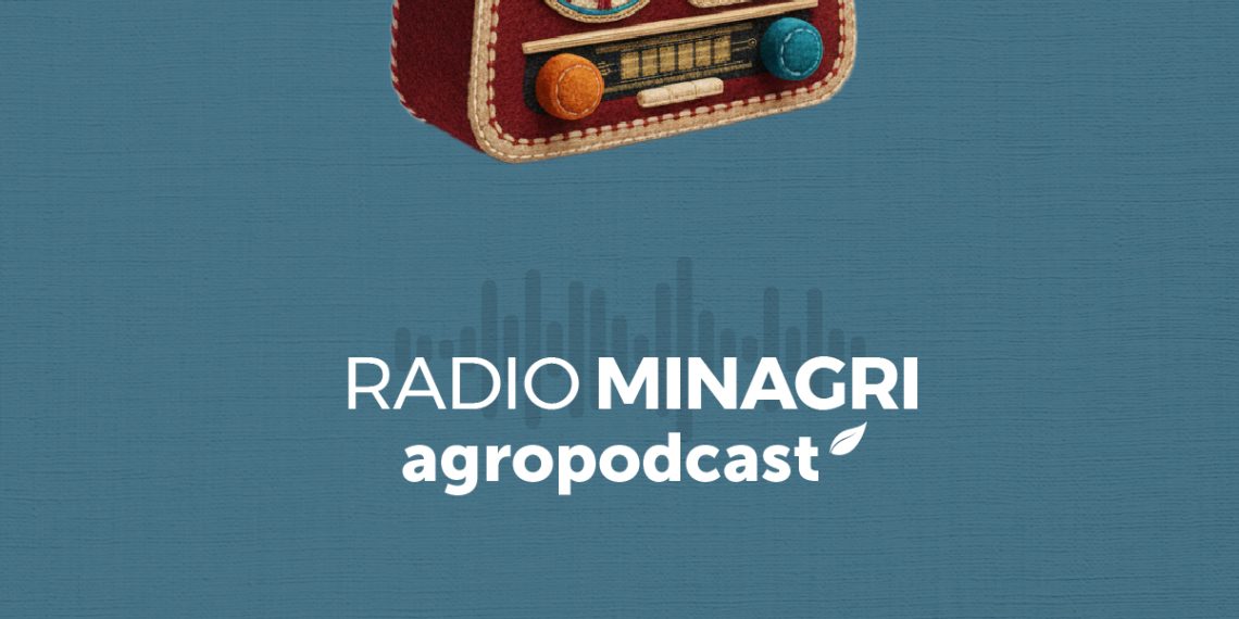 Lanzan segunda temporada de Radioteatros y Relatos Animados de Nuestra Tierra para celebrar la cultura rural de Chile