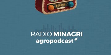 Lanzan segunda temporada de Radioteatros y Relatos Animados de Nuestra Tierra para celebrar la cultura rural de Chile