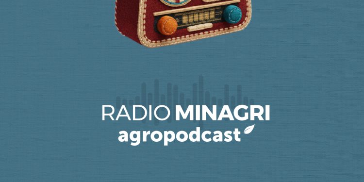 Lanzan segunda temporada de Radioteatros y Relatos Animados de Nuestra Tierra para celebrar la cultura rural de Chile