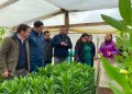 Gobierno Regional del Maule e INDAP fortalecen el riego en predios de pequeños productores con ERNC