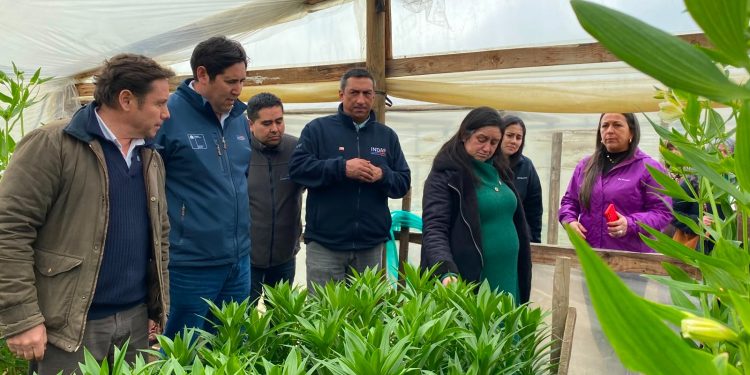 Gobierno Regional del Maule e INDAP fortalecen el riego en predios de pequeños productores con ERNC