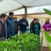 Gobierno Regional del Maule e INDAP fortalecen el riego en predios de pequeños productores con ERNC