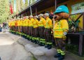 Región del Maule adelanta implementación de brigadas forestales de Conaf