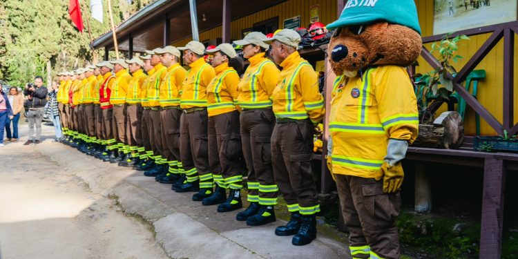 Región del Maule adelanta implementación de brigadas forestales de Conaf