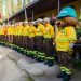 Región del Maule adelanta implementación de brigadas forestales de Conaf