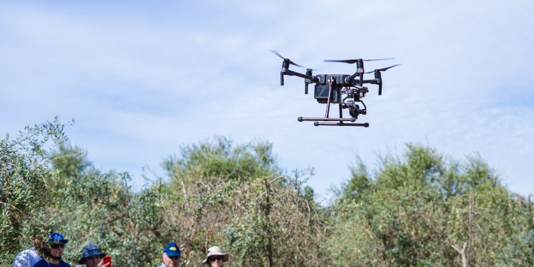 Desarrollan plataforma para optimizar el uso del agua y estimar la captura de carbono en la agricultura