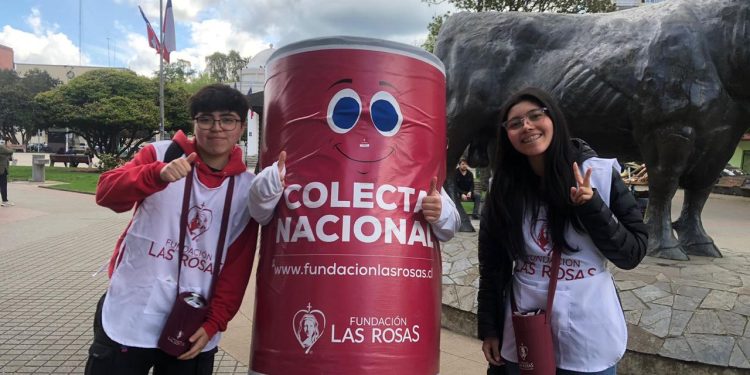 Fundación Las Rosas busca voluntarios para su colecta de octubre