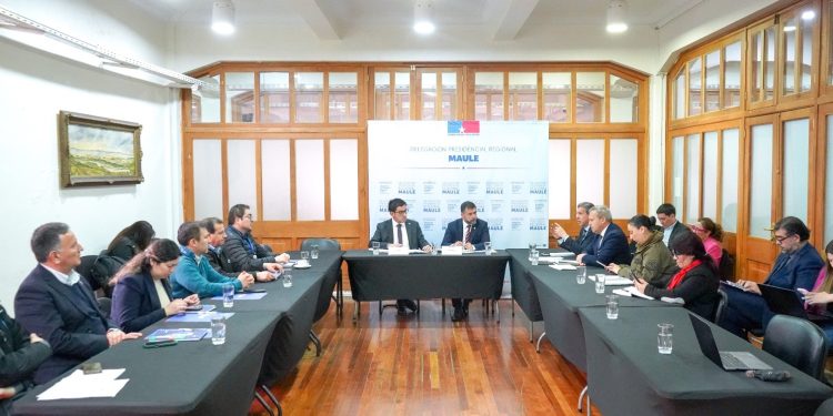 Gobierno refuerza coordinación con policías y empresas eléctricas para enfrentar el robo de cables en el Maule