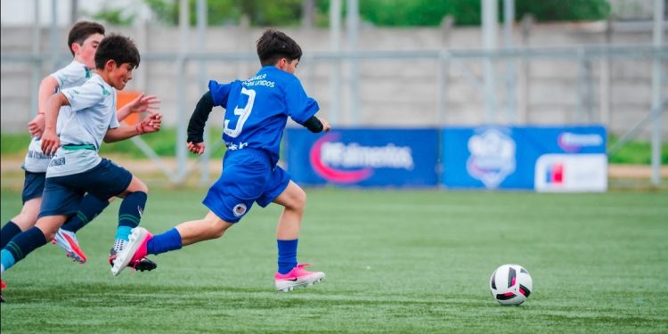 Copa PFalimentos llega a Curicó con la participación de 12 colegios de la provincia