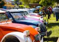 Encuentro nacional e internacional citronetas en Pelarco