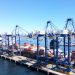 Puerto Coronel plantea que Biobío puede captar hasta la mitad de las importaciones alimentarias del retail que hoy ingresan por Valparaíso