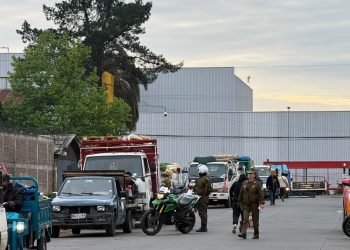 Nuevo operativo de Carabineros en la Macroferia de Talca dejó tres detenidos y más de 200 controles