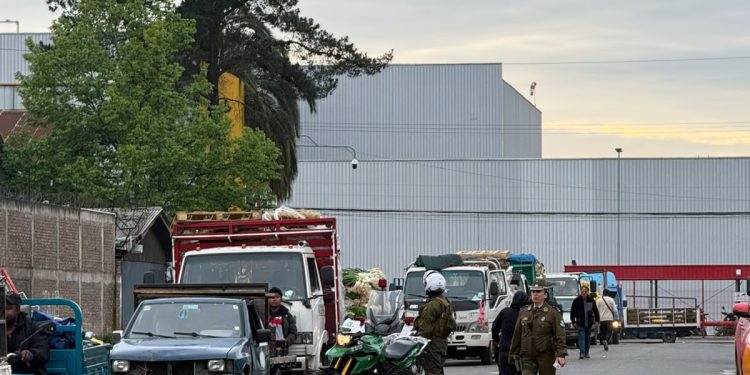 Nuevo operativo de Carabineros en la Macroferia de Talca dejó tres detenidos y más de 200 controles