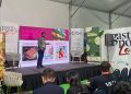 Cuatro marcas chilenas revelan cómo el veganismo les abrió mercado