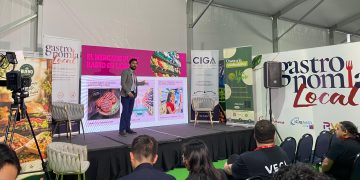 Cuatro marcas chilenas revelan cómo el veganismo les abrió mercado