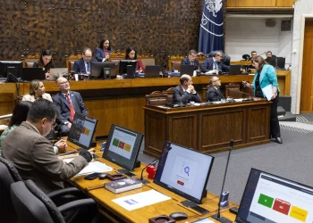Senado despachó a ley Reglas del Uso de la Fuerza