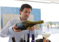Viñas maulinas proyectan su oferta exportadora en México y Brasil