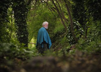Humedal: teatro, música y circo se unen en un estreno que invita a descubrir el patrimonio natural del Maule   