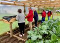 Más de 700 familias mejoran su alimentación  y calidad de vida con apoyo del FOSIS