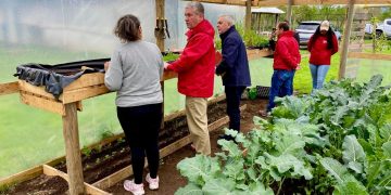Más de 700 familias mejoran su alimentación  y calidad de vida con apoyo del FOSIS
