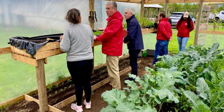 Más de 700 familias mejoran su alimentación y calidad de vida con apoyo del FOSIS