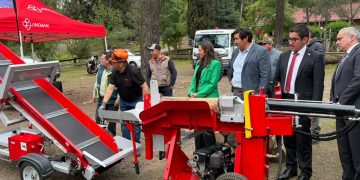 Pymes de la madera del Maule exploran nuevas oportunidades en el mercado de la energía