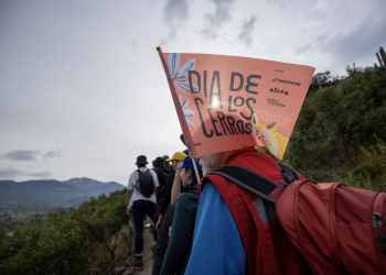 Celebra el Día de los Cerros en el Maule: hay varias actividades para recorrer su patrimonio natural