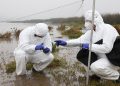 Fenómeno de El Niño y caso de influenza aviar en Perú elevan la alerta del SAG y refuerzan la vigilancia sanitaria