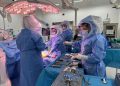 Hospital Regional aplica nueva tecnología robótica para cirugías de rodilla