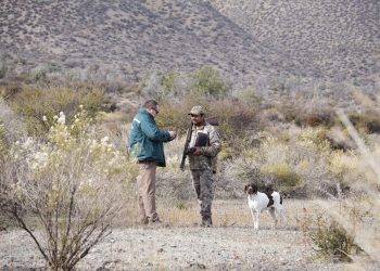 SAG moderniza la gestión de carné de caza con nueva plataforma digital