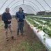 Seremi de Agricultura destaca avances de proyecto de investigación que apoya a los frutilleros del Maule