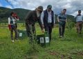Liberan ejemplares de zorro chilla y quique tras exitosa rehabilitación
