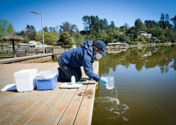 Seremi de Salud del Maule refuerza monitoreo, capacitación y fiscalización en el lago Vichuquén