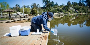 Seremi de Salud del Maule refuerza monitoreo, capacitación y fiscalización en el lago Vichuquén