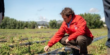 Gobernador solicita decretar zona de emergencia agrícola para el Maule