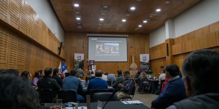 Maule reúne a viñateros e instituciones para potenciar la industria del vino