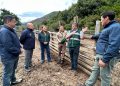 Autoridades regionales dan inicio a temporada de campos de pastoreo cordillerano 2026-2027 (veranadas)
