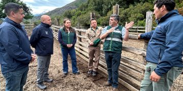 Autoridades regionales dan inicio a temporada de campos de pastoreo cordillerano 2026-2027 (veranadas)