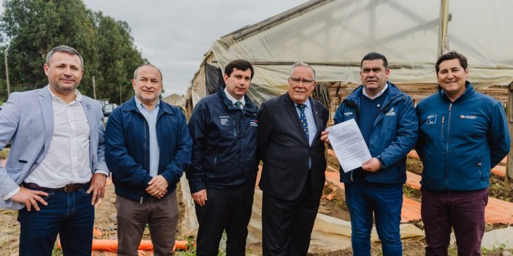 Gobierno decreta emergencia agrícola en 14 comunas de la Región del Maule