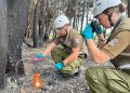 Carabineros refuerza su despliegue preventivo ante la temporada de incendios forestales
